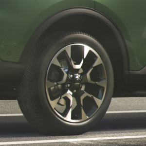 19-palčna aluminijasta platišča s 5 x 2 krakoma, strojno obdelana absolutno črna